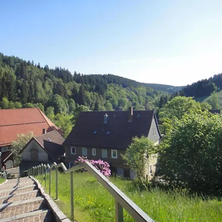 Alpenau Altenau (Lower-Saxony)