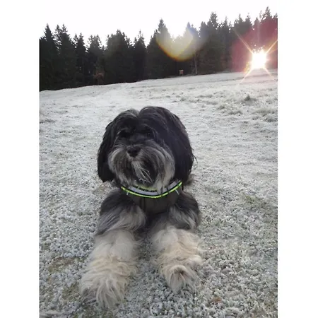 Alpenau *
