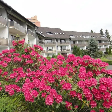 Alpenau Altenau (Lower-Saxony)